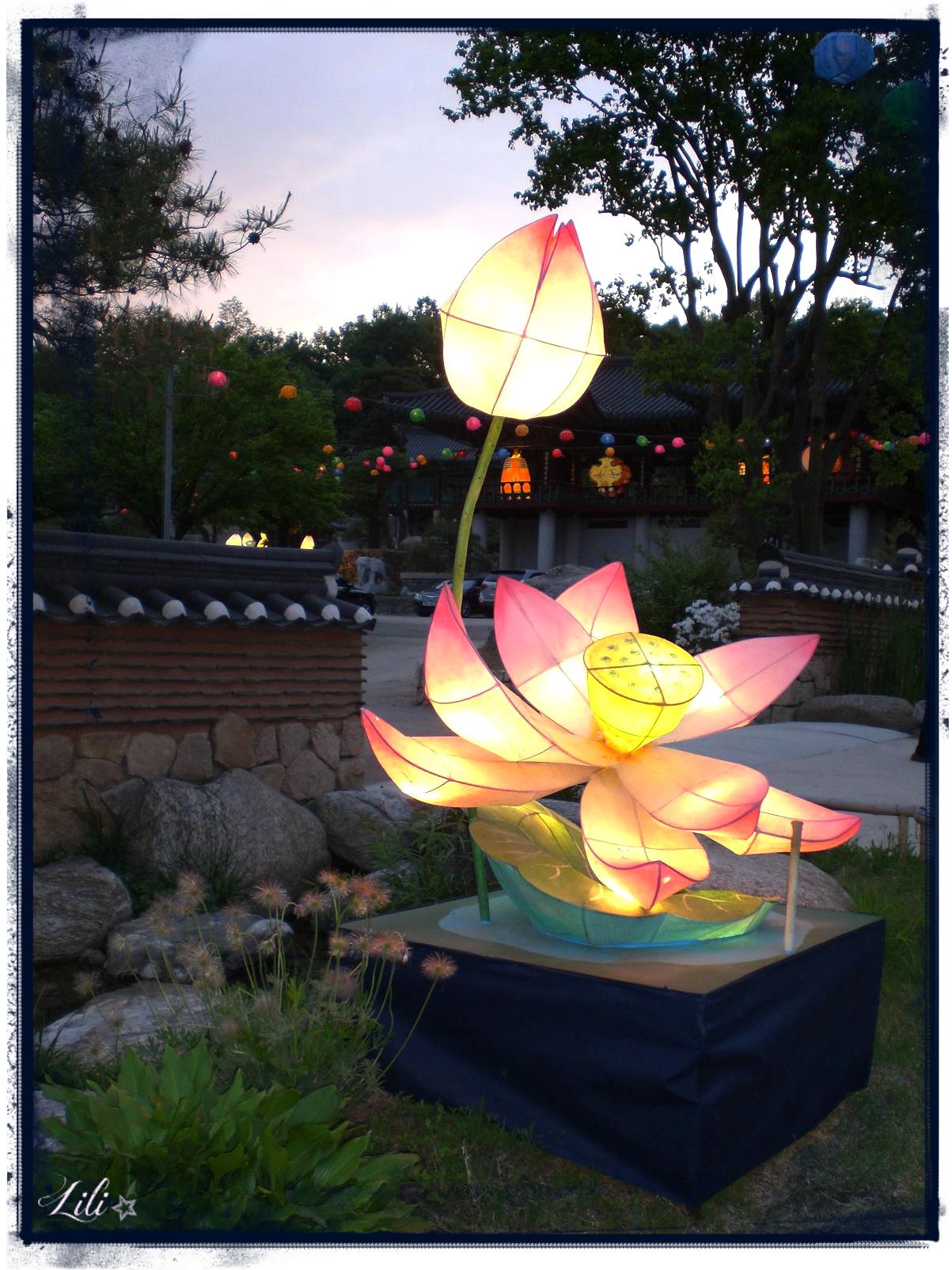 10_lanterne-bouddha
